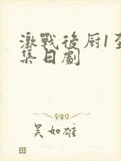 激战后厨1至5集日剧