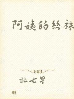 阿姨的丝袜小说