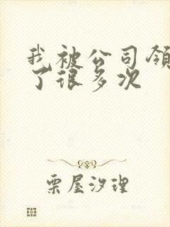 我被公司领导C了很多次封面