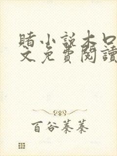 赌小说木口银全文免费阅读笔趣阁