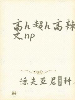 高h超h高辣h文np