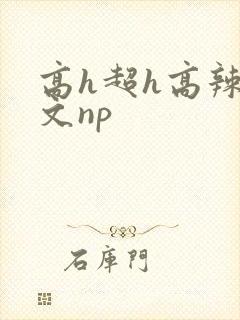 高h超h高辣h文np