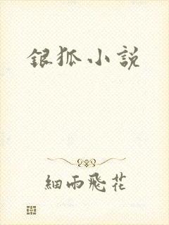 银狐小说