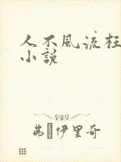 人不风流枉少年小说