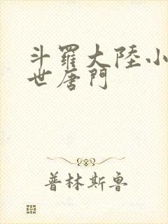 斗罗大陆小说绝世唐门