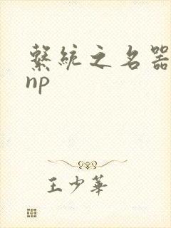 系统之名器攻略np