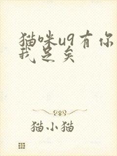 猫咪u9有你有我足矣封面