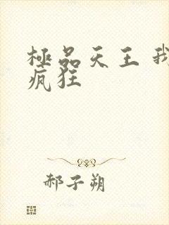 极品天王 我本疯狂