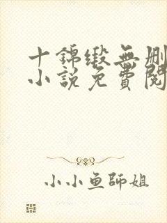 十锦缎无删原著小说免费阅读封面