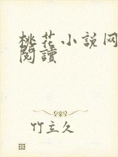 桃花小说网小说阅读