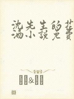 沈先生的花式调酒小说免费阅读