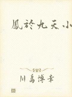 凤于九天小说封面