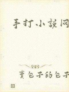 手打小说网
