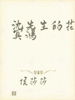 沈先生的花式调冥鸿封面