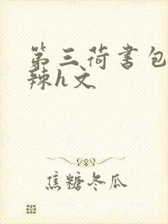 第三荷书包网高辣h文