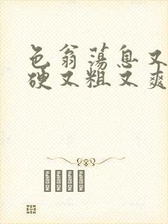 色翁荡息又大又硬又粗又爽