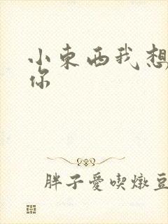 小东西我想弄坏你