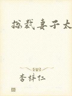 总裁妻子太诱人