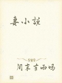 妻小说