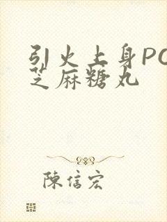 引火上身POP芝麻糖丸封面