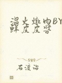 温火炖肉BY海鲜皮皮酱