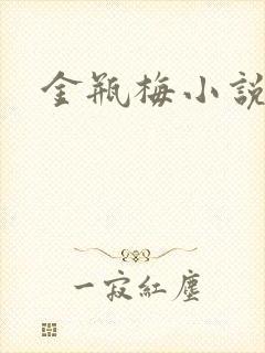 金瓶梅小说下载