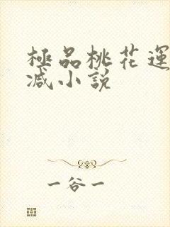 极品桃花运未删减小说封面