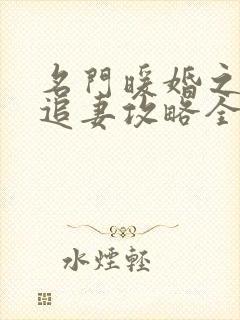 名门暖婚之权爷追妻攻略全文免费阅读