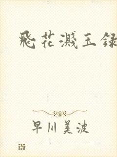 飞花溅玉录