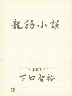 龙的小说