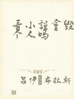 看小说会毁掉一个人吗封面