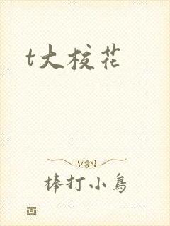 t大校花封面