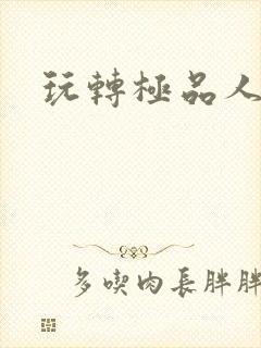 玩转极品人生封面