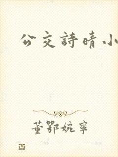 公交诗晴小说