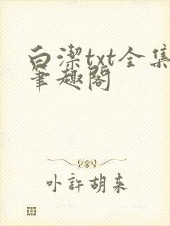 白洁txt全集笔趣阁