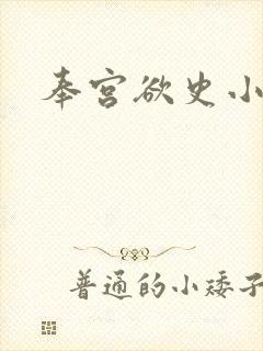 奉宫欲史小说封面