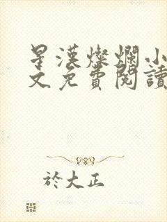 星汉灿烂小说全文免费阅读封面