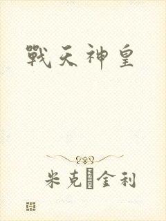 战天神皇封面