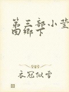 第三部小莹乱翁回乡下