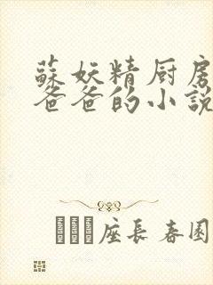 苏妖精厨房爹爹爸爸的小说