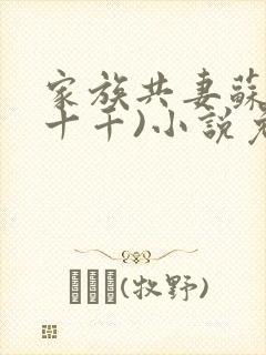 家族共妻苏苏(十千)小说免费