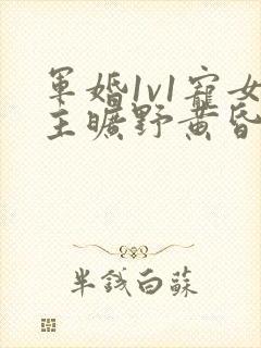 军婚1v1宠女主旷野黄昏