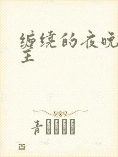 缠绕的夜晚双男主封面