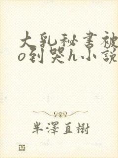 大乳秘书被cao到哭h小说