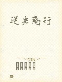 逆光飞行