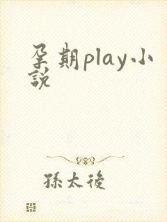 孕期play小说