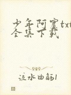 少年阿宾txt全集下载
