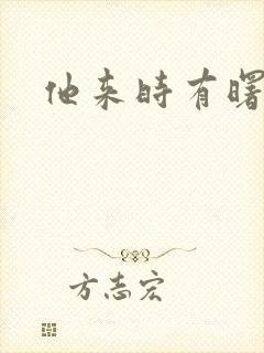 他来时有曙光封面