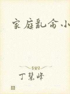 家庭乱仑小说封面