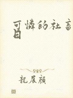可怜的社畜东度日